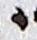 Letter - #18766