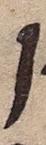 Letter - #18881