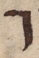 Letter - #18903
