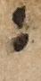 Punctuation - #18907