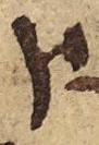 Letter - #18915
