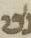 Letter - #18921