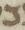 Letter - #18932