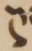 Letter - #18947