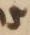 Letter - #18950