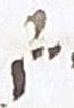 Divine Symbol - #18989
