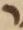 Letter - #19000