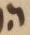 Letter - #19002