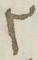 Letter - #19013