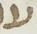 Letter - #19058