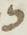 Letter - #19065