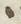 Letter - #19069