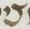 Letter - #19074