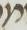 Letter - #19075