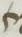 Letter - #19083