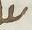 Letter - #19147