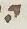 Letter - #19155