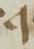 Letter - #19174
