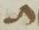 Letter - #19180