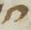 Letter - #19182