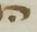 Letter - #19194