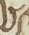 Letter - #19212