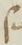 Letter - #19229