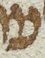 Letter - #19292