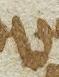 Letter - #19298