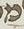 Letter - #19352