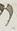 Letter - #19371