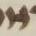 Letter - #19424