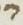 Letter - #19442