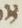 Letter - #19454