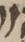 Letter - #19483