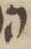 Letter - #19486