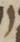 Letter - #19491
