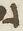 Letter - #19518
