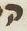 Letter - #19519
