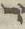 Letter - #19532