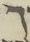 Letter - #19542