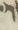 Letter - #19544
