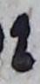Letter - #19567