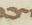 Letter - #19620