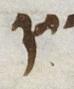Letter - #19791