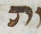 Letter - #19793