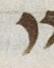Letter - #19805