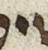 Letter - #19831