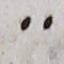 Punctuation - #19846