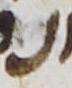 Letter - #19938